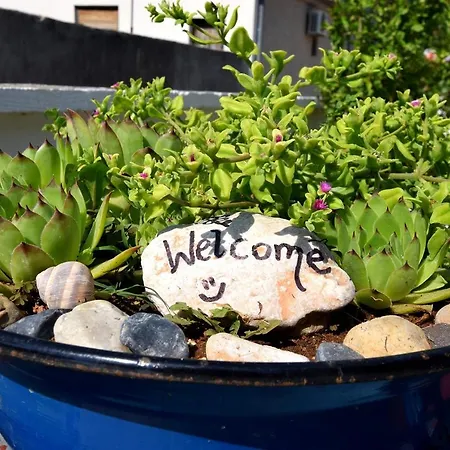 House With A Parking Space Seline, Paklenica - 16318 בית נופש *